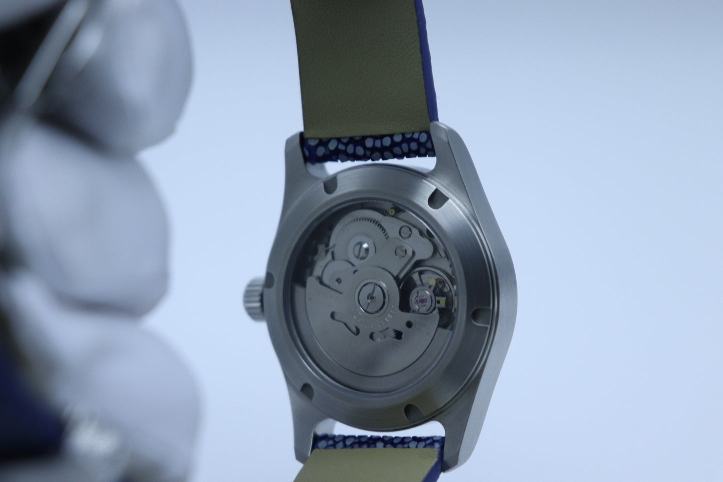 36mm – Lapis Dial | Stingray Strap | Brushed Steel Case